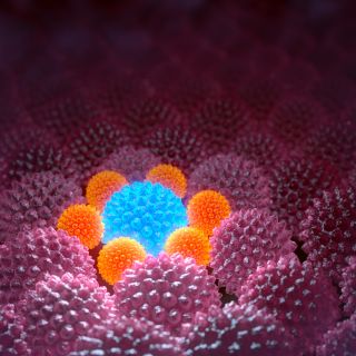 Regeneración de tejidos